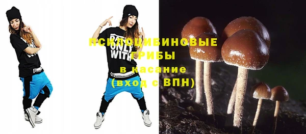 бошки Арсеньев