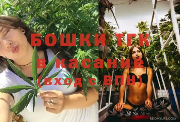бошки Арсеньев